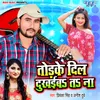 About Todke Dil Dukhaiba Ta Na Song